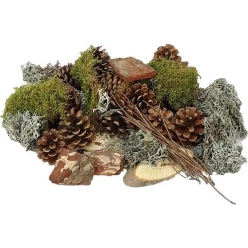 JUNAVERA Forest Mix XL mos en dennenappels