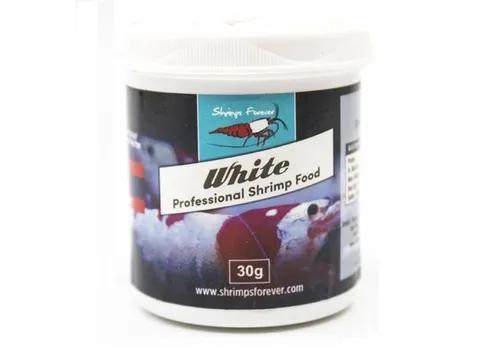 Shrimps Forever White