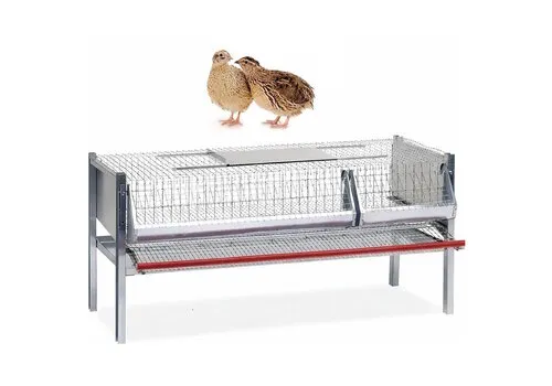 Junai.nl Legkooi voor kwartels