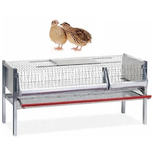 Junai.nl Legkooi voor kwartels