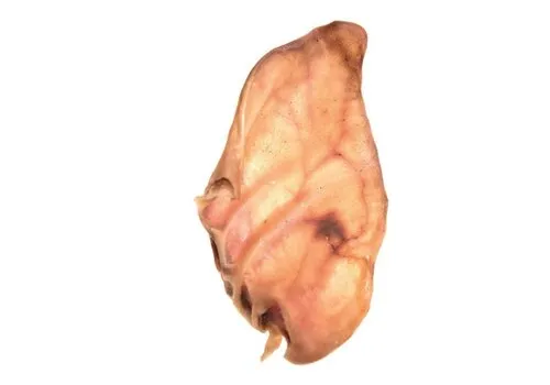 Comfy Appetit Gedroogd varkensoor hondensnack 1 Stuk