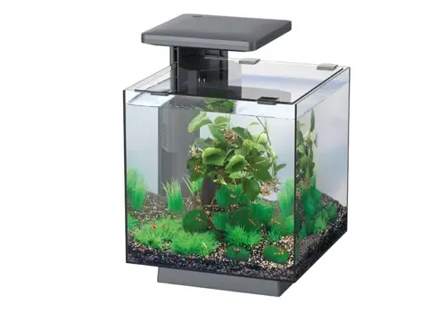 2ekans Superfish Qubiq 15 LED | 15L | 25 x 25 x 35CM Zwart