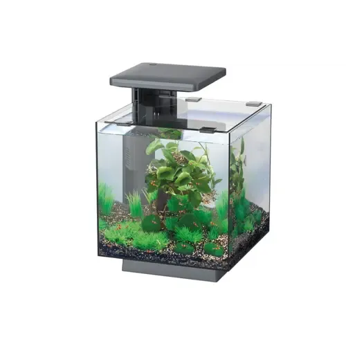 2ekans Superfish Qubiq 15 LED | 15L | 25 x 25 x 35CM Zwart