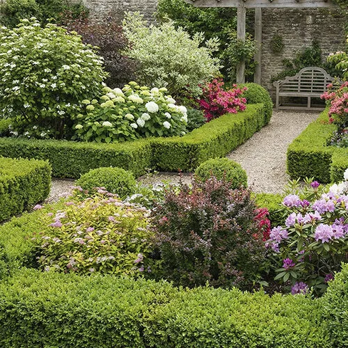 Struiken, heesters en hagen