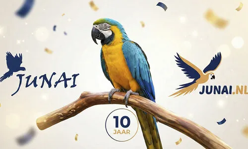 Junai.nl 10 jaar online!
