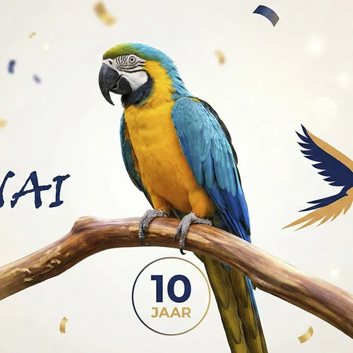 Junai.nl 10 jaar online!