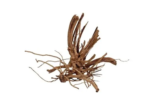 WIO Blondspider Wood