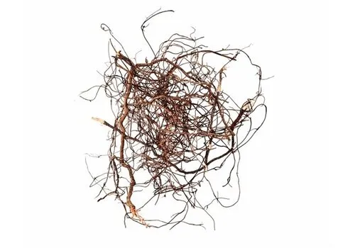 WIO Mini Root Mix 80 Gram