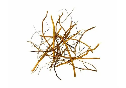 WIO Amber Root Mix 140 Gram