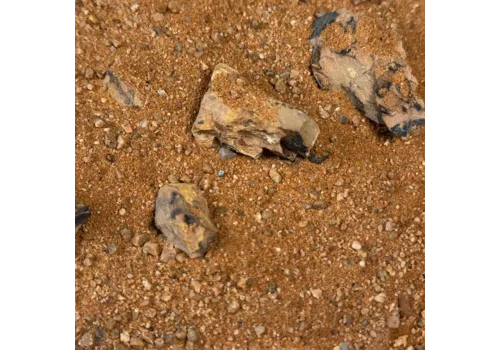 WIO Golden Dragon Riverbed