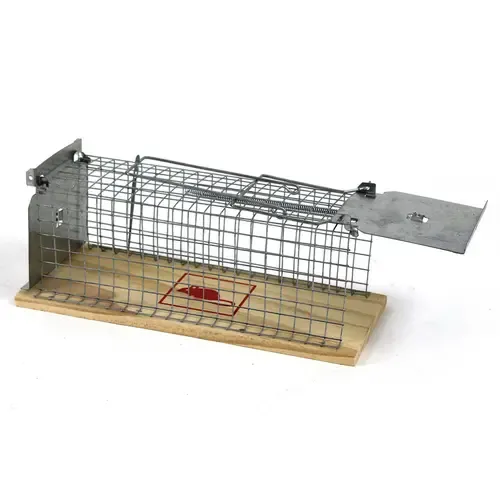 AllesTegenOngedierte.nl Ratten vangkooi met houten bodem