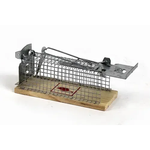 AllesTegenOngedierte.nl Muizen vangkooi met houten bodem