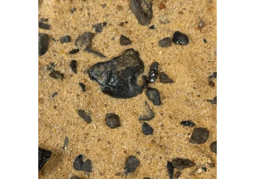 WIO Elderly Riverbed