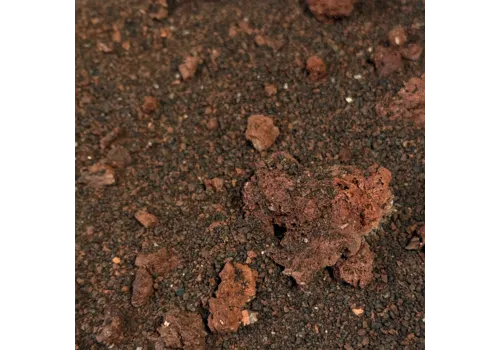 WIO Volcano Crickey Riverbed