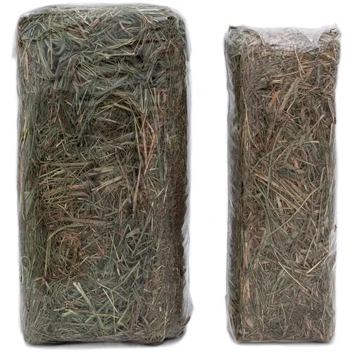 Comfy Hooi voor knaagdieren