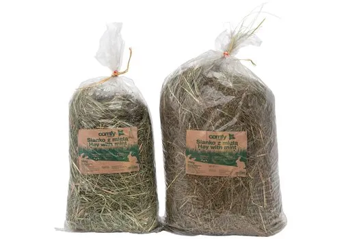 Comfy Hooi met munt voor knaagdieren