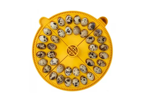 Brinsea Keerrooster voor 40 kwarteleieren | Maxi 24