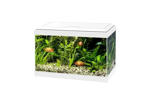 Ciano Reserve kap voor Aqua 20 LED aquarium