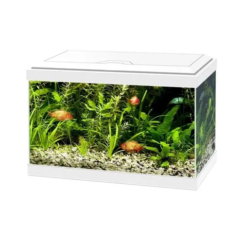 Ciano Reserve kap voor Aqua 20 LED aquarium