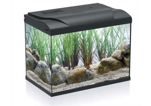 HS Aqua Reserve kap zwart voor Coldy 20 aquarium