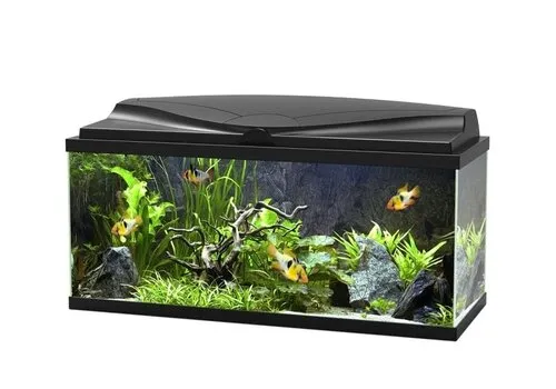 Ciano Reserve kap Aqua 80 LED Zwart