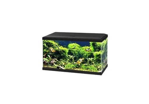 Ciano Aquariumkap 60 cm zwart | vervangdeksel