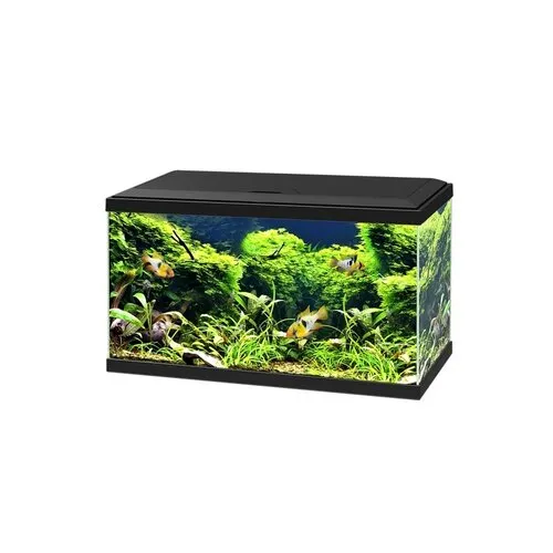 Ciano Aquariumkap 60 cm zwart | vervangdeksel