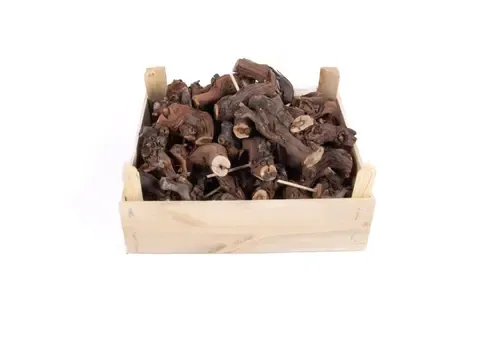 Junai.nl Druivenhout 8-10 cm voor terraria