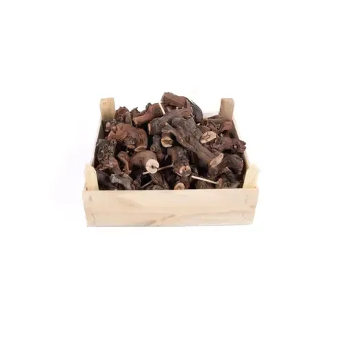 Junai.nl Druivenhout 8-10 cm voor terraria