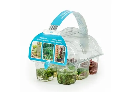 Moerings Drijfplanten | In Sixpack