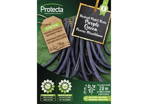Protecta Struikboon PURPLE QUEEN