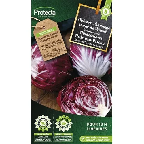 Protecta Bladcichorei Rode van Verona