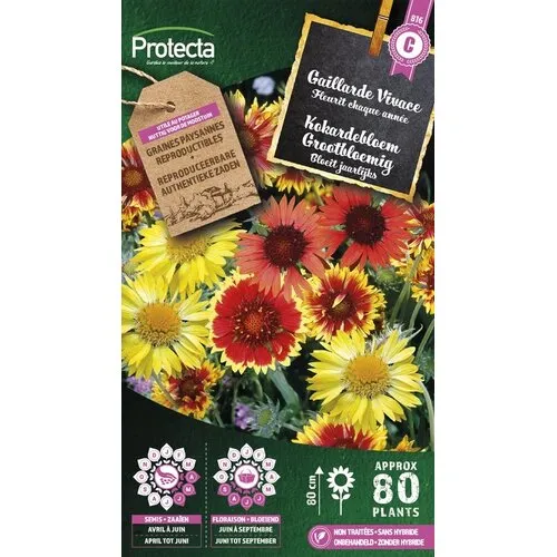 Protecta Kokardebloem Grootbloemig