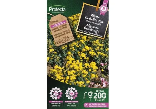 Protecta Alyssum Goudkorfje