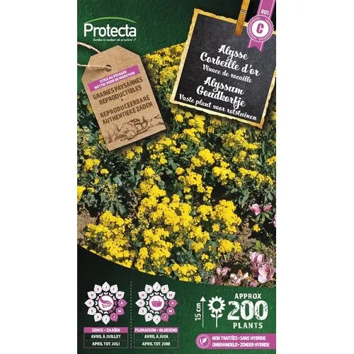 Protecta Alyssum Goudkorfje