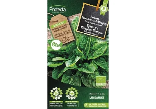 Protecta Spinazie Viroflay Reuzen Biologisch