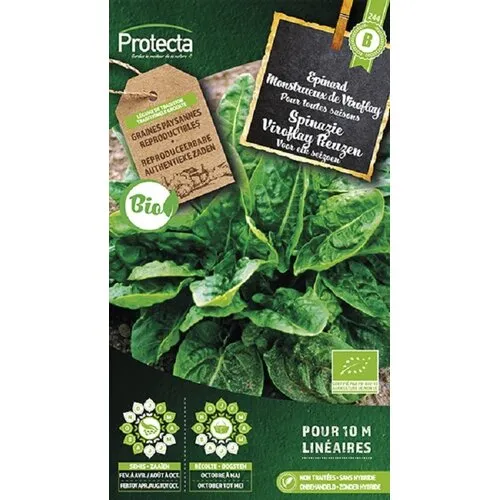 Protecta Spinazie Viroflay Reuzen Biologisch