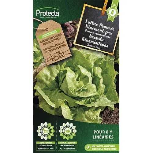 Protecta Kropsla Kinemontepas