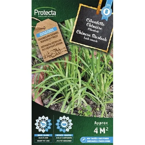 Protecta Chinese bieslook | Chin Suan