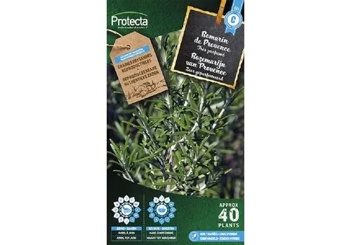 Protecta Rozemarijn
