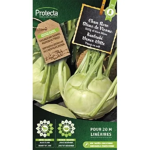 Protecta Koolraap Wener Witte