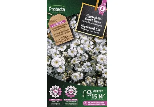 Protecta Gipskruid Wit