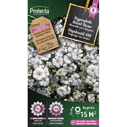 Protecta Gipskruid Wit