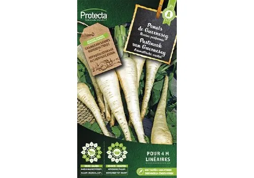 Protecta Pastinaak van Guernesey