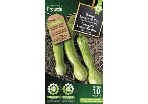 Protecta Courgette Lange van Nice