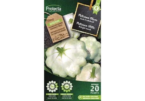 Protecta Patisson Witte