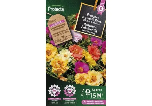 Protecta Portulaca Grootbloemig gemengd