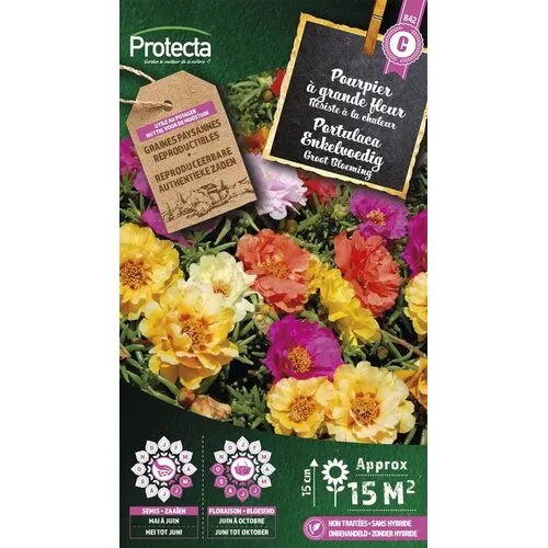 Protecta Portulaca Grootbloemig gemengd