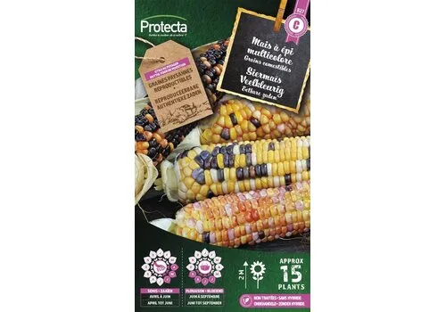 Protecta Siermaïs Veelkleurig