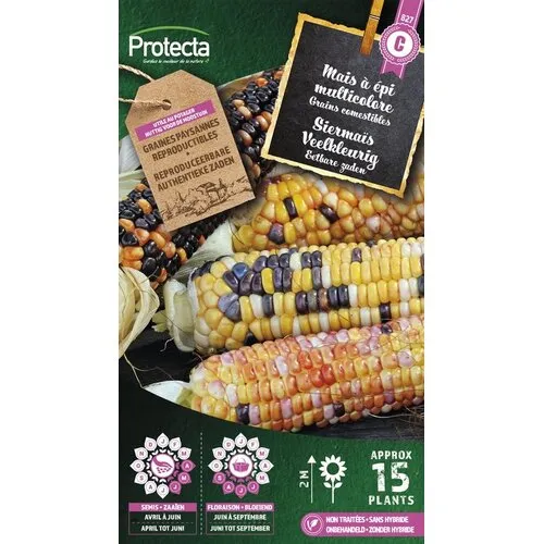 Protecta Siermaïs Veelkleurig